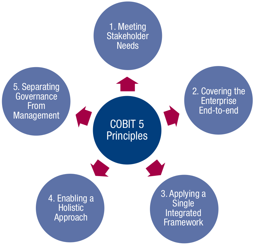Cobit 5 Principles, IT Strategy, Controls and Processes
